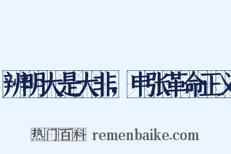 辨明大是大非，申张革命正义是什么意思的图片